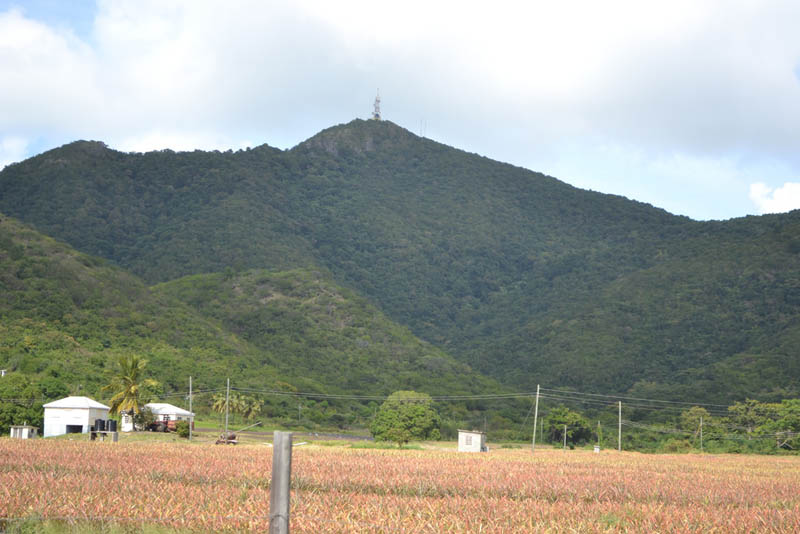 奥巴马国家公园